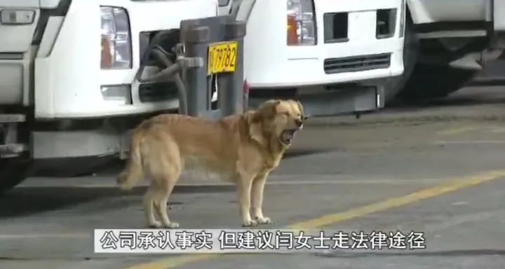 DƬ
